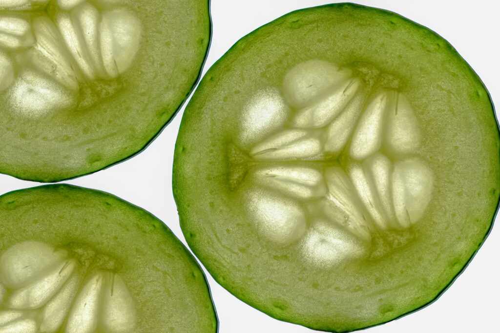 crisp cucumber rounds